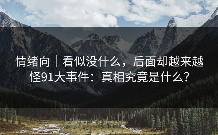 情绪向｜看似没什么，后面却越来越怪91大事件：真相究竟是什么？