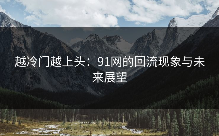 越冷门越上头：91网的回流现象与未来展望