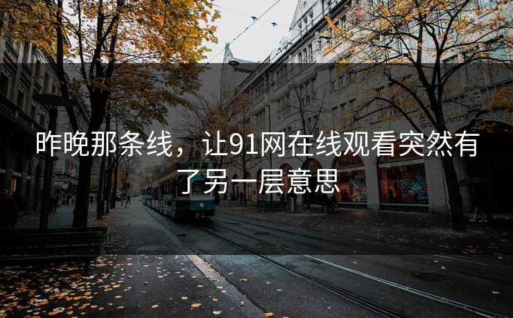 昨晚那条线，让91网在线观看突然有了另一层意思