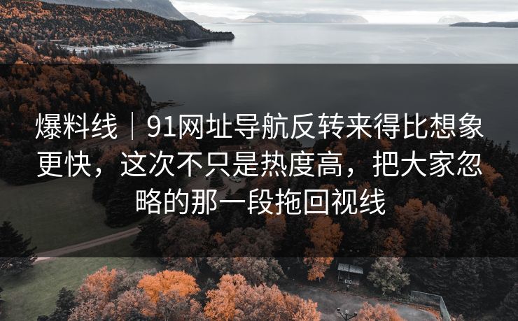 爆料线｜91网址导航反转来得比想象更快，这次不只是热度高，把大家忽略的那一段拖回视线