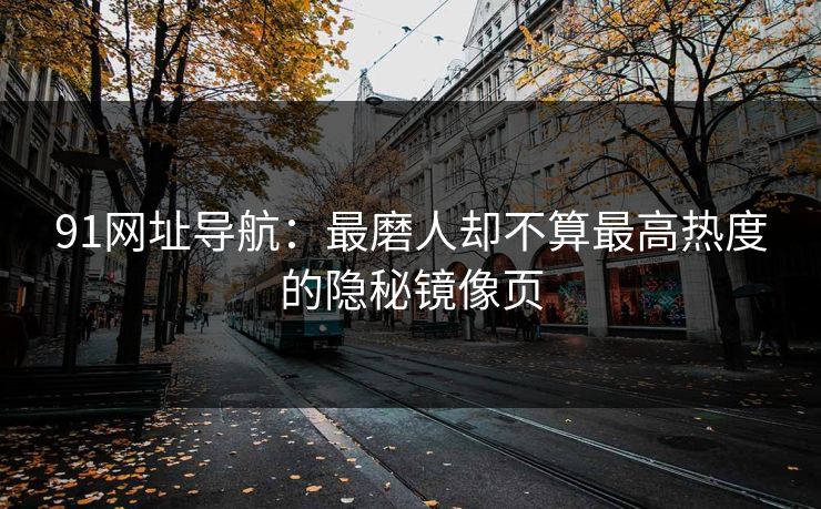 91网址导航：最磨人却不算最高热度的隐秘镜像页