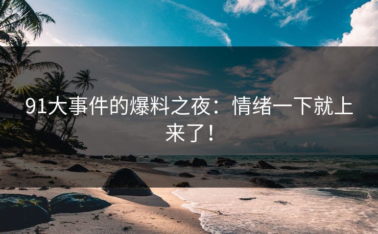 91大事件的爆料之夜:情绪一下就上来了! 91大事件的爆料之夜:情绪一下就上来了!