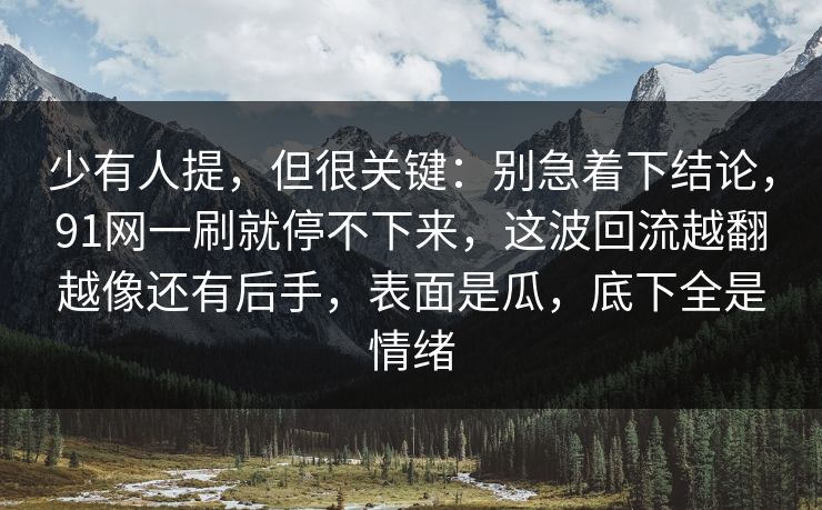 少有人提,但很关键:别急着下结论,91网一刷就停不下来,这波回流越翻越像还有后手,表面是瓜,底下全是情绪 少有人提,但很关键:别急着下结论,91网一刷就停不下来,这波回流越翻越像还有后手,表面是瓜,底下全是情绪