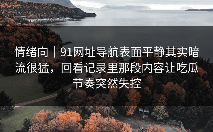 情绪向|91网址导航表面平静其实暗流很猛,回看记录里那段内容让吃瓜节奏突然失控 情绪向|91网址导航表面平静其实暗流很猛,回看记录里那段内容让吃瓜节奏突然失控